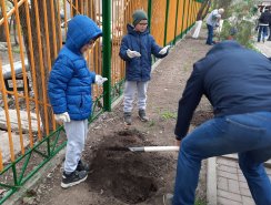 img (7)